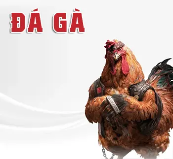 Trang chủ 4 game daga