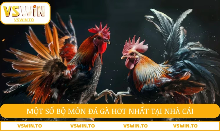 Một số bộ môn đá gà hot nhất tại nhà cái