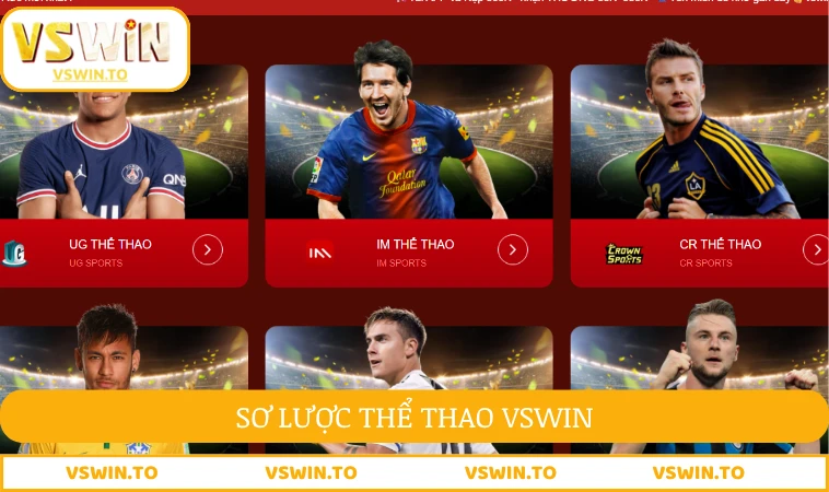 Sơ lược thể thao VSWIN