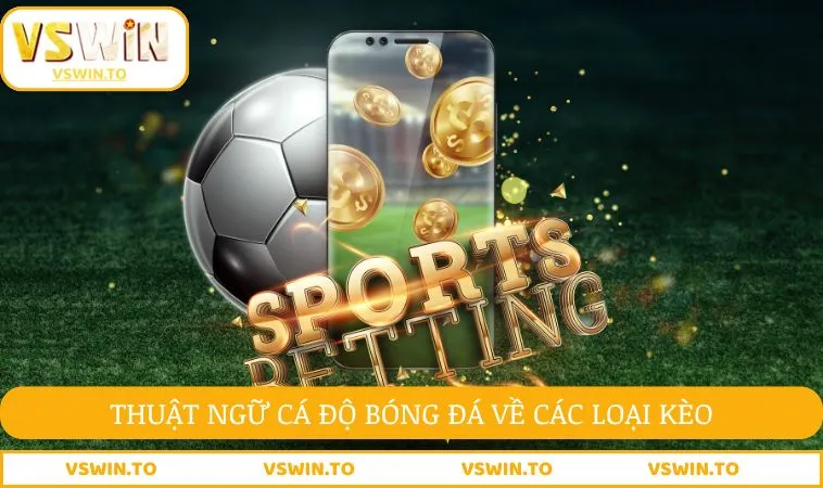 Thuật Ngữ Cá Độ Bóng Đá Quan Trọng Dùng Trong Mọi Ván Cược 1 Thuật ngữ cá độ bóng đá về kèo cược thể thao