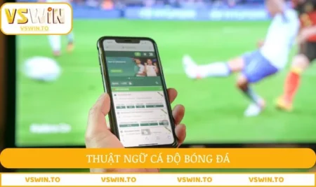 Thuật ngữ cá độ bóng đá